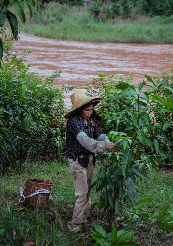 Peasant Woman and the River